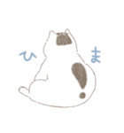 激かわ猫こたろう（個別スタンプ：1）