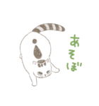 激かわ猫こたろう（個別スタンプ：8）