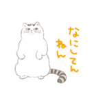 激かわ猫こたろう（個別スタンプ：17）