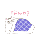 激かわ猫こたろう（個別スタンプ：18）