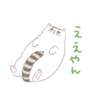 激かわ猫こたろう（個別スタンプ：19）