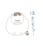 激かわ猫こたろう（個別スタンプ：23）