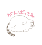 激かわ猫こたろう（個別スタンプ：35）