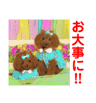 プー＆プーミックスの仲間達（個別スタンプ：16）