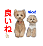 プー＆プーミックスの仲間達（個別スタンプ：21）
