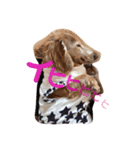 犬いぬイヌ ダックス スタンプ（個別スタンプ：5）