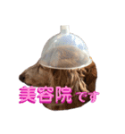 犬いぬイヌ ダックス スタンプ（個別スタンプ：12）