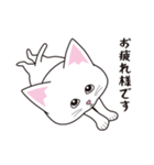 にゃんちょこりん【白猫】（個別スタンプ：1）