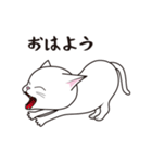 にゃんちょこりん【白猫】（個別スタンプ：2）