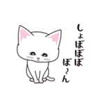 にゃんちょこりん【白猫】（個別スタンプ：5）