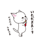にゃんちょこりん【白猫】（個別スタンプ：13）