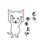 にゃんちょこりん【白猫】（個別スタンプ：24）