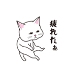 にゃんちょこりん【白猫】（個別スタンプ：28）