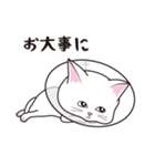 にゃんちょこりん【白猫】（個別スタンプ：30）