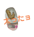 おおくわがた 実写版 ①（個別スタンプ：5）