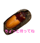 おおくわがた 実写版 ①（個別スタンプ：7）
