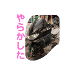 WRT.（個別スタンプ：16）