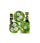 はな・はな（個別スタンプ：7）