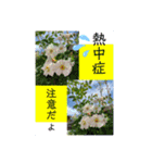 はな・はな（個別スタンプ：8）