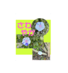 はな・はな（個別スタンプ：9）