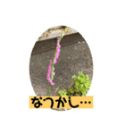 はな・はな（個別スタンプ：10）