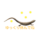 かなへびと一緒。（個別スタンプ：2）