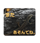かなへびと一緒。（個別スタンプ：6）