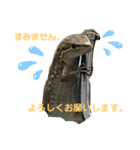 かなへびと一緒。（個別スタンプ：7）
