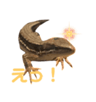 かなへびと一緒。（個別スタンプ：15）