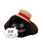 ペキニーズ❤︎（個別スタンプ：18）