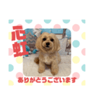 HappyBathPepのお友達 J（個別スタンプ：1）