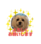 HappyBathPepのお友達 J（個別スタンプ：4）