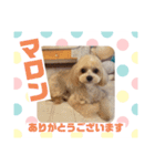 HappyBathPepのお友達 J（個別スタンプ：5）