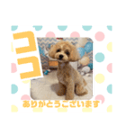 HappyBathPepのお友達 J（個別スタンプ：9）