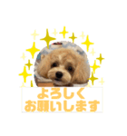 HappyBathPepのお友達 J（個別スタンプ：12）
