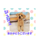 HappyBathPepのお友達 J（個別スタンプ：13）
