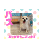HappyBathPepのお友達 J（個別スタンプ：17）