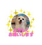 HappyBathPepのお友達 J（個別スタンプ：20）
