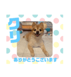 HappyBathPepのお友達 J（個別スタンプ：21）