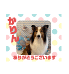 HappyBathPepのお友達 J（個別スタンプ：25）