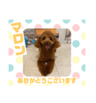HappyBathPepのお友達 J（個別スタンプ：29）
