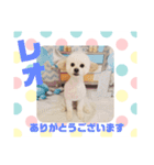 HappyBathPepのお友達 J（個別スタンプ：33）