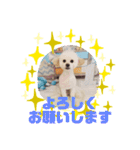 HappyBathPepのお友達 J（個別スタンプ：36）