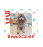 HappyBathPepのお友達 J（個別スタンプ：37）