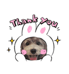 HappyBathPepのお友達 J（個別スタンプ：39）