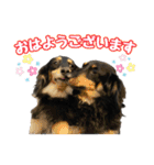 まろたろスタンプ（個別スタンプ：1）