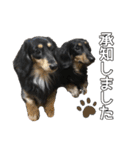 まろたろスタンプ（個別スタンプ：2）
