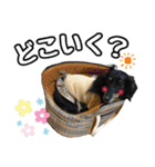 まろたろスタンプ（個別スタンプ：38）