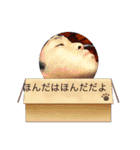 ほんだゆうきのくっそかわいいスタンプ（個別スタンプ：4）