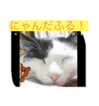 ほんだゆうきのくっそかわいいスタンプ（個別スタンプ：9）